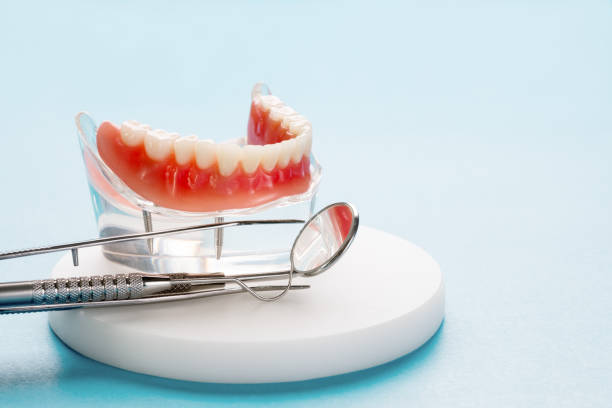 Best Sedation Dentistry  in North Weeki Wachee, FL